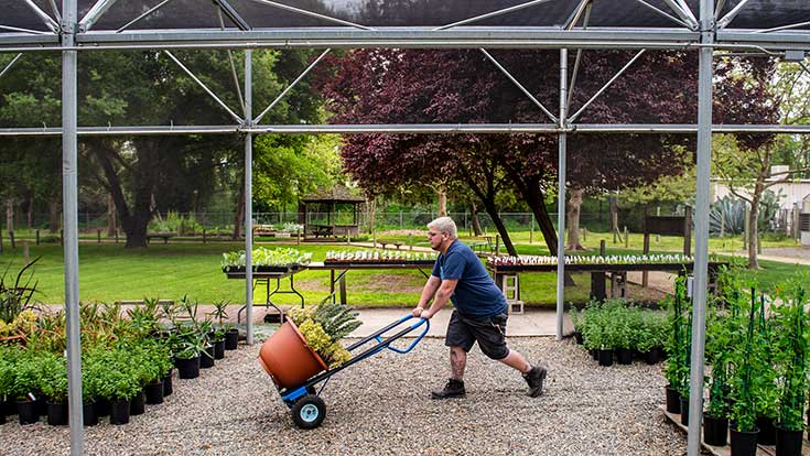 Agriculture, Water, and Environmental Technologies