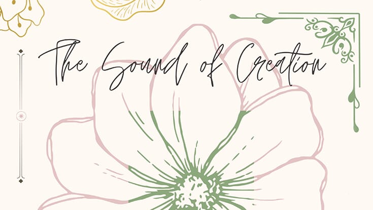 The Sound of Creation with line-drawn flower elements in shades of pink, green, beige
