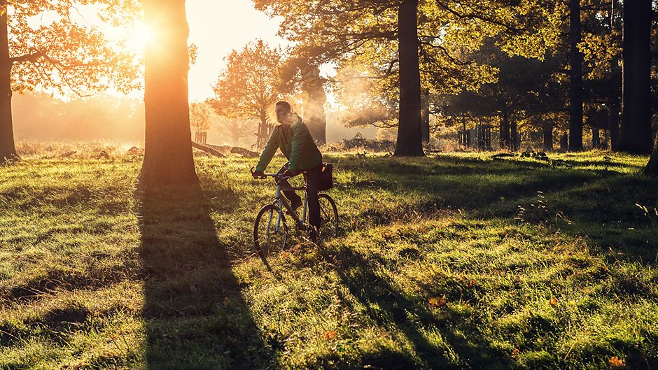 London, England man biking in a park early morning